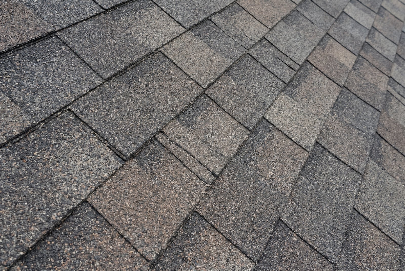 Asphalt shingle surface detail